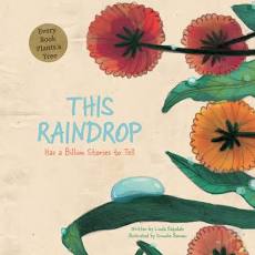 This Raindrop: Has a Billion Stores to Tell