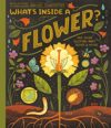 What’s Inside a Flower: and other questions about science and nature