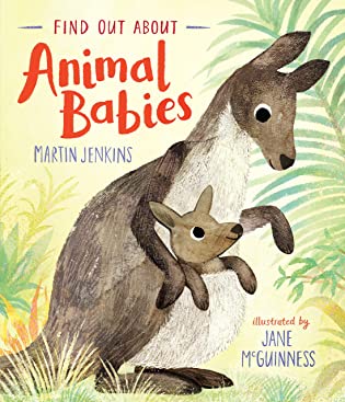 Find Out About: Animal Babies