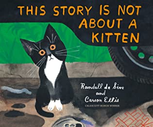 This Story is Not About a Kitten