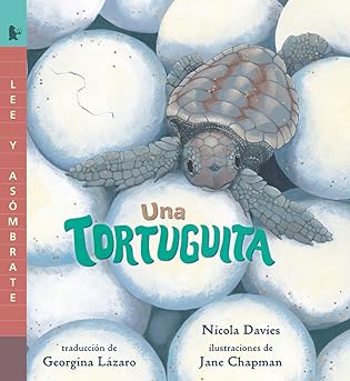 Una tortuguita: Read and Wonder (Spanish Edition)