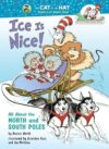 Ice is Nice: All About the North and South Poles