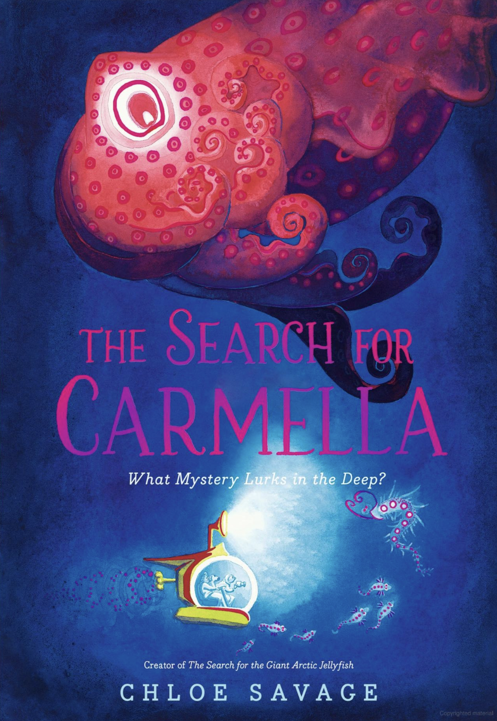 The Search for Carmella (Hidden Wonders)
