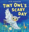 Tiny Owl’s Scary Day