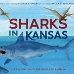 Sharks in Kansas: The Ancient Sea in the Middle of America